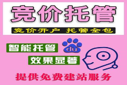 百度竞价广告的投放技巧及优化方法——以某品牌为例